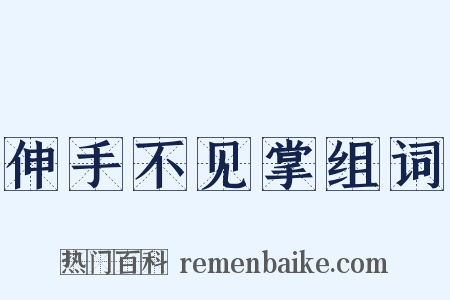 伸手不见掌组词是什么意思的图片